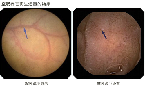 mg冰球突破豪华版(试玩)官方网站