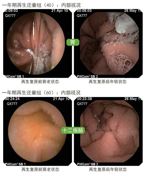 mg冰球突破豪华版(试玩)官方网站