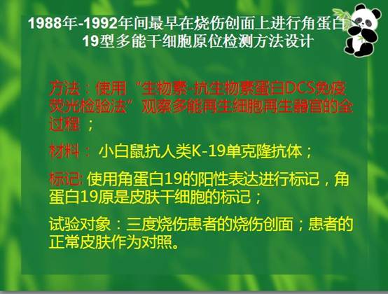 mg冰球突破豪华版(试玩)官方网站