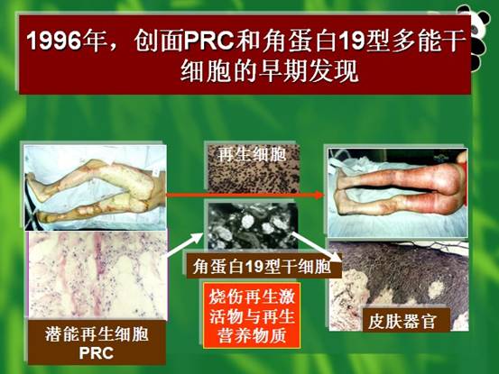 mg冰球突破豪华版(试玩)官方网站