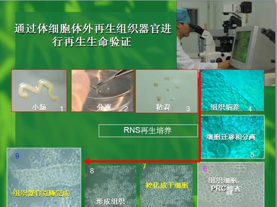 mg冰球突破豪华版(试玩)官方网站