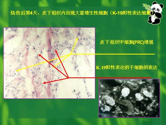 mg冰球突破豪华版(试玩)官方网站