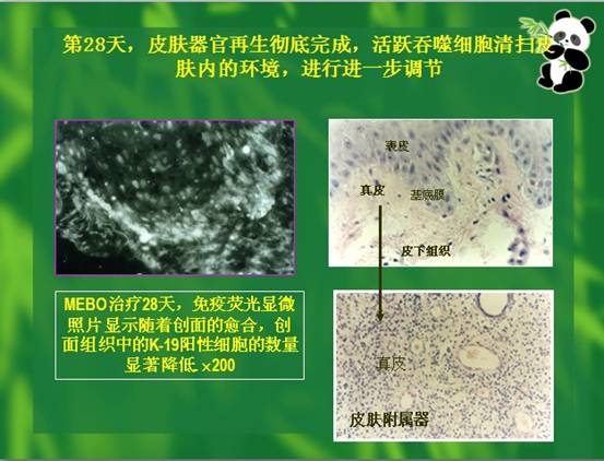 mg冰球突破豪华版(试玩)官方网站
