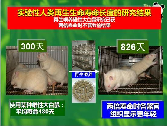 mg冰球突破豪华版(试玩)官方网站