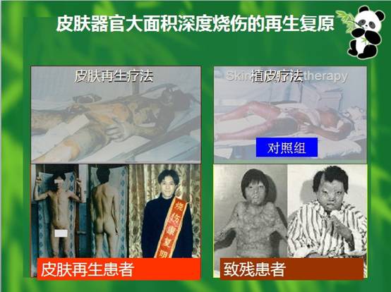 mg冰球突破豪华版(试玩)官方网站