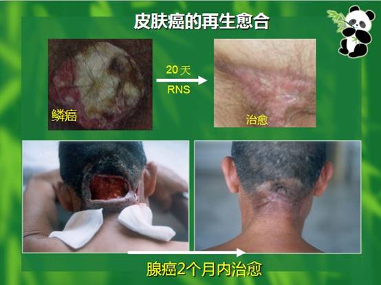 mg冰球突破豪华版(试玩)官方网站