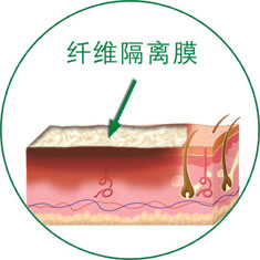 mg冰球突破豪华版(试玩)官方网站