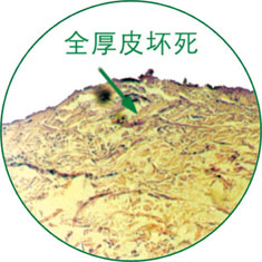 mg冰球突破豪华版(试玩)官方网站