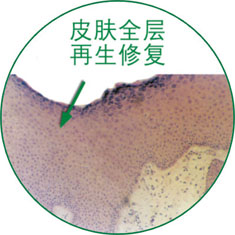 mg冰球突破豪华版(试玩)官方网站