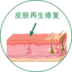 mg冰球突破豪华版(试玩)官方网站