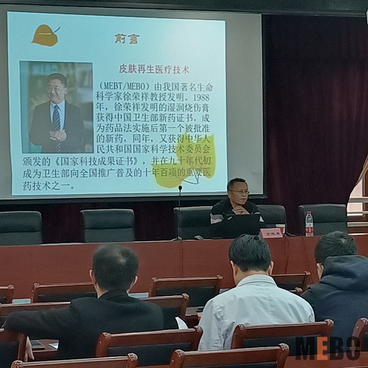 mg冰球突破豪华版(试玩)官方网站