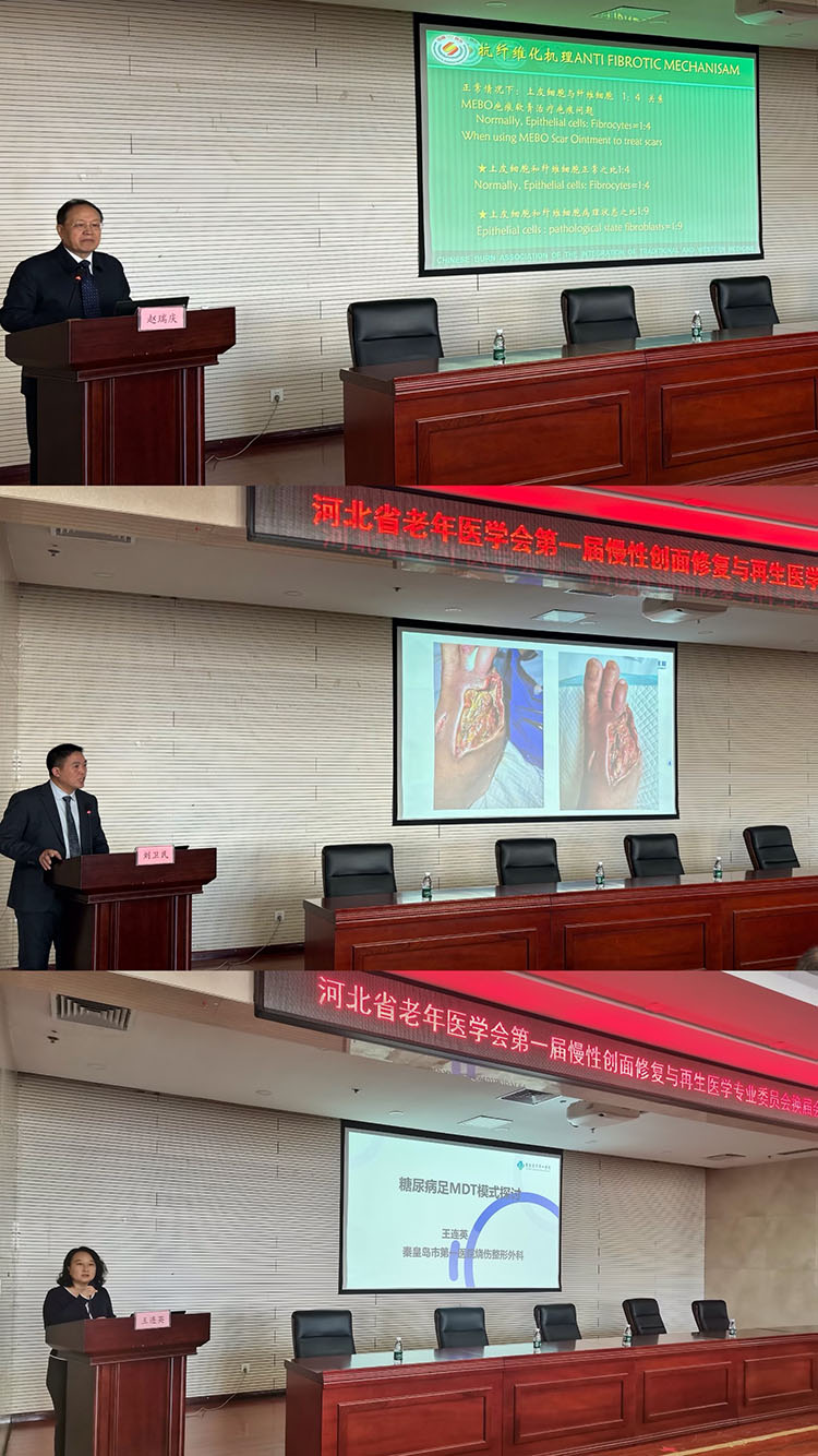 mg冰球突破豪华版(试玩)官方网站