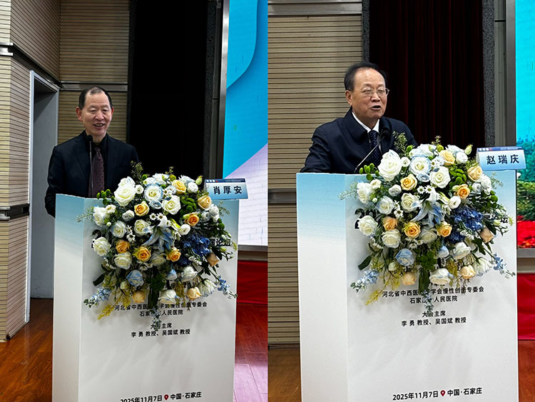mg冰球突破豪华版(试玩)官方网站