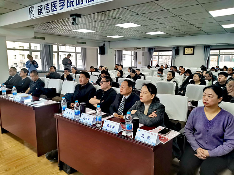 mg冰球突破豪华版(试玩)官方网站