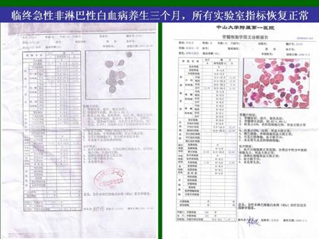 mg冰球突破豪华版(试玩)官方网站