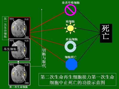 mg冰球突破豪华版(试玩)官方网站