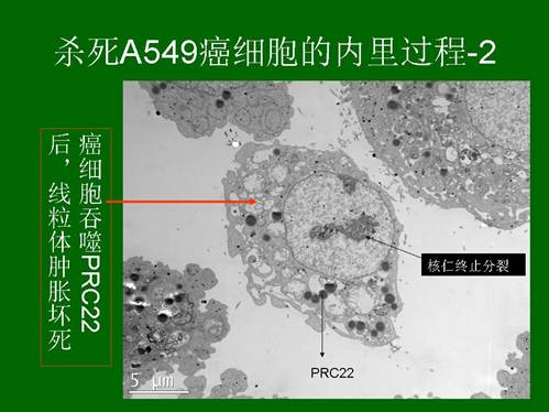 mg冰球突破豪华版(试玩)官方网站