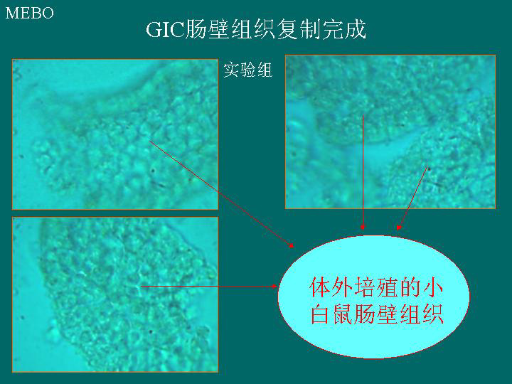 mg冰球突破豪华版(试玩)官方网站