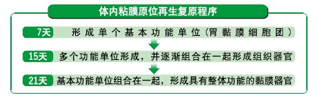 mg冰球突破豪华版(试玩)官方网站
