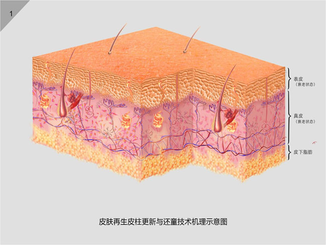mg冰球突破豪华版(试玩)官方网站