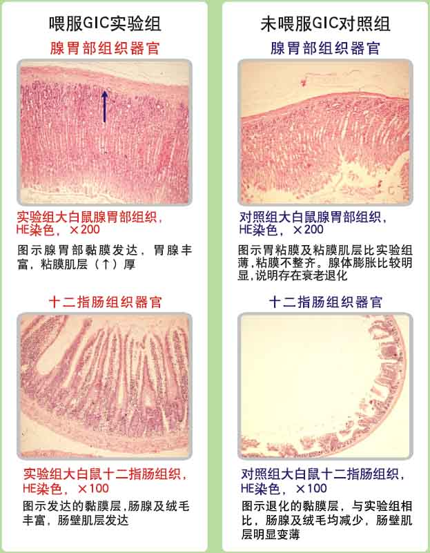 201122294840636