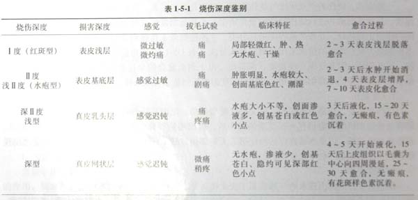 201131135650895