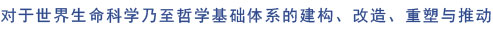 mg冰球突破豪华版(试玩)官方网站